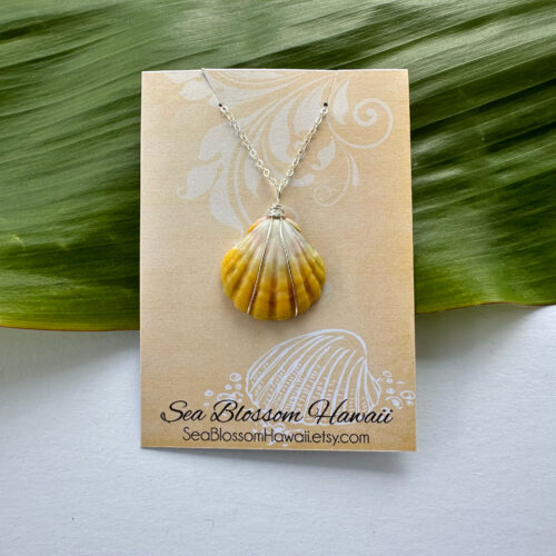 sunrise shell necklace with sterling silver chain